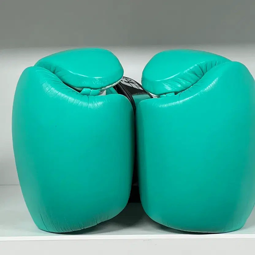 HeavyHitter H6 Mint 12oz Boxing Gloves