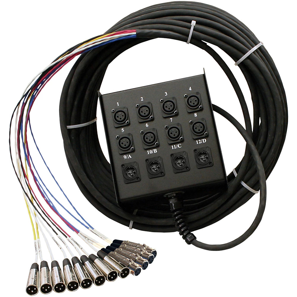 Pro Co StageMASTER SMC Series 12-Channel Snake 100 ft.