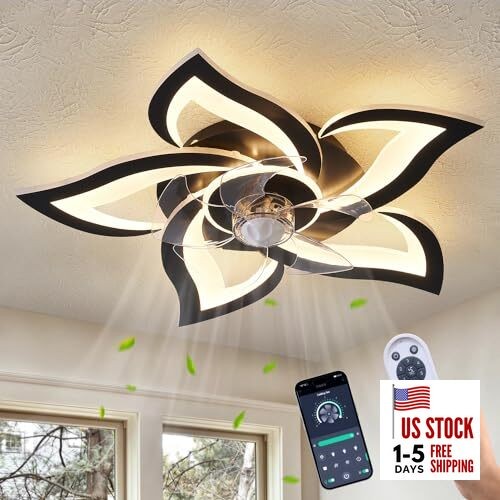Ceiling Fan with Lights Remote Control, 24" Black, 6 24"-Reversible-Black