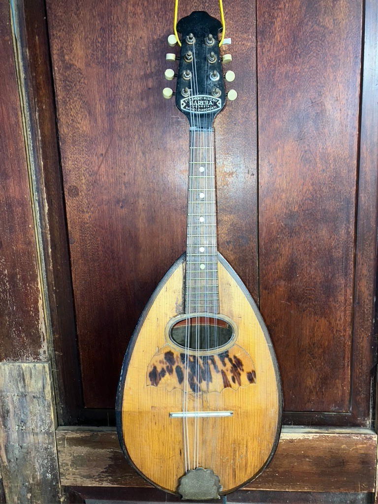 Barera Venezia Vintage Bowl Back Rosewood Mandolin