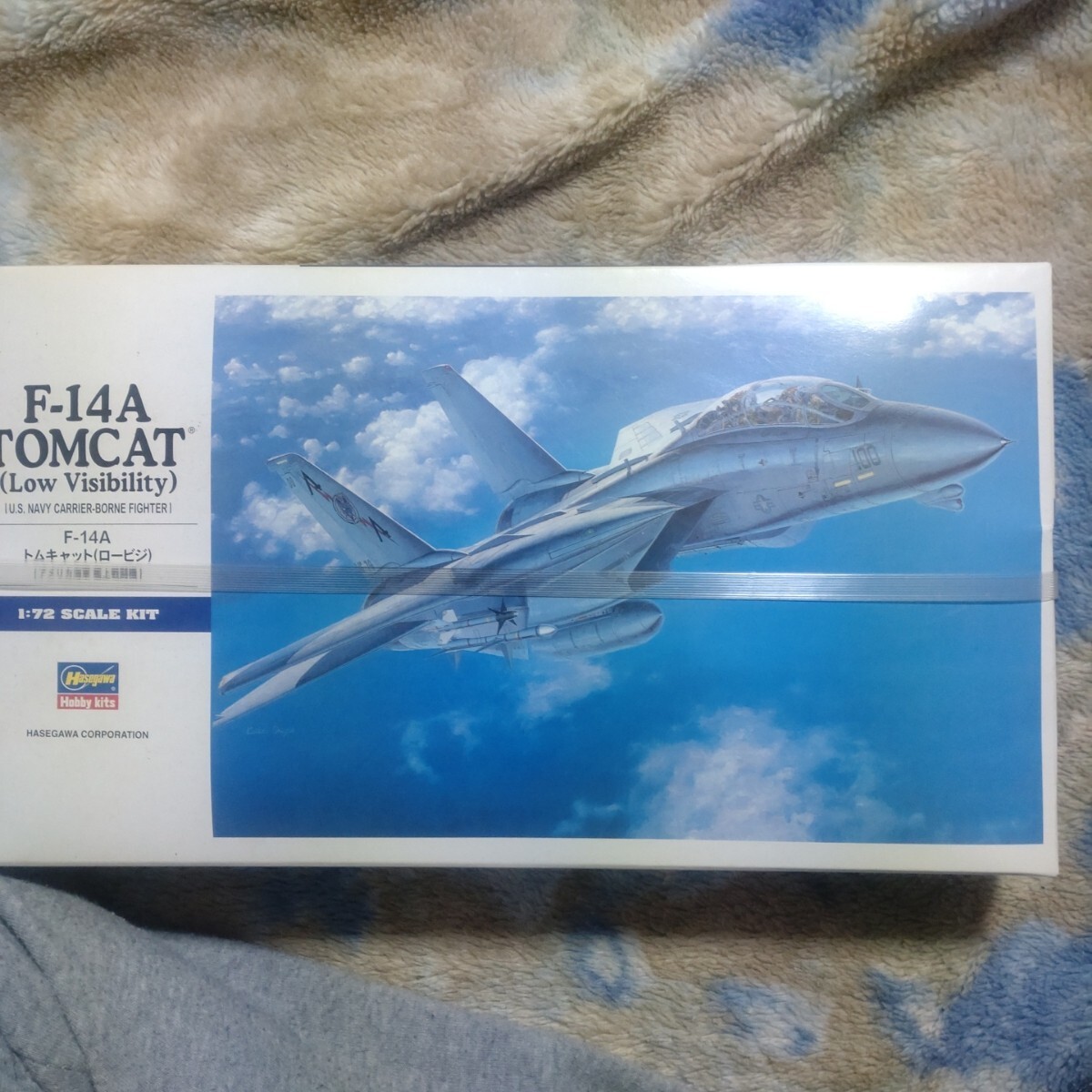 F-14A Tomcat (low viji) (1/72 scale E band E2 015326)