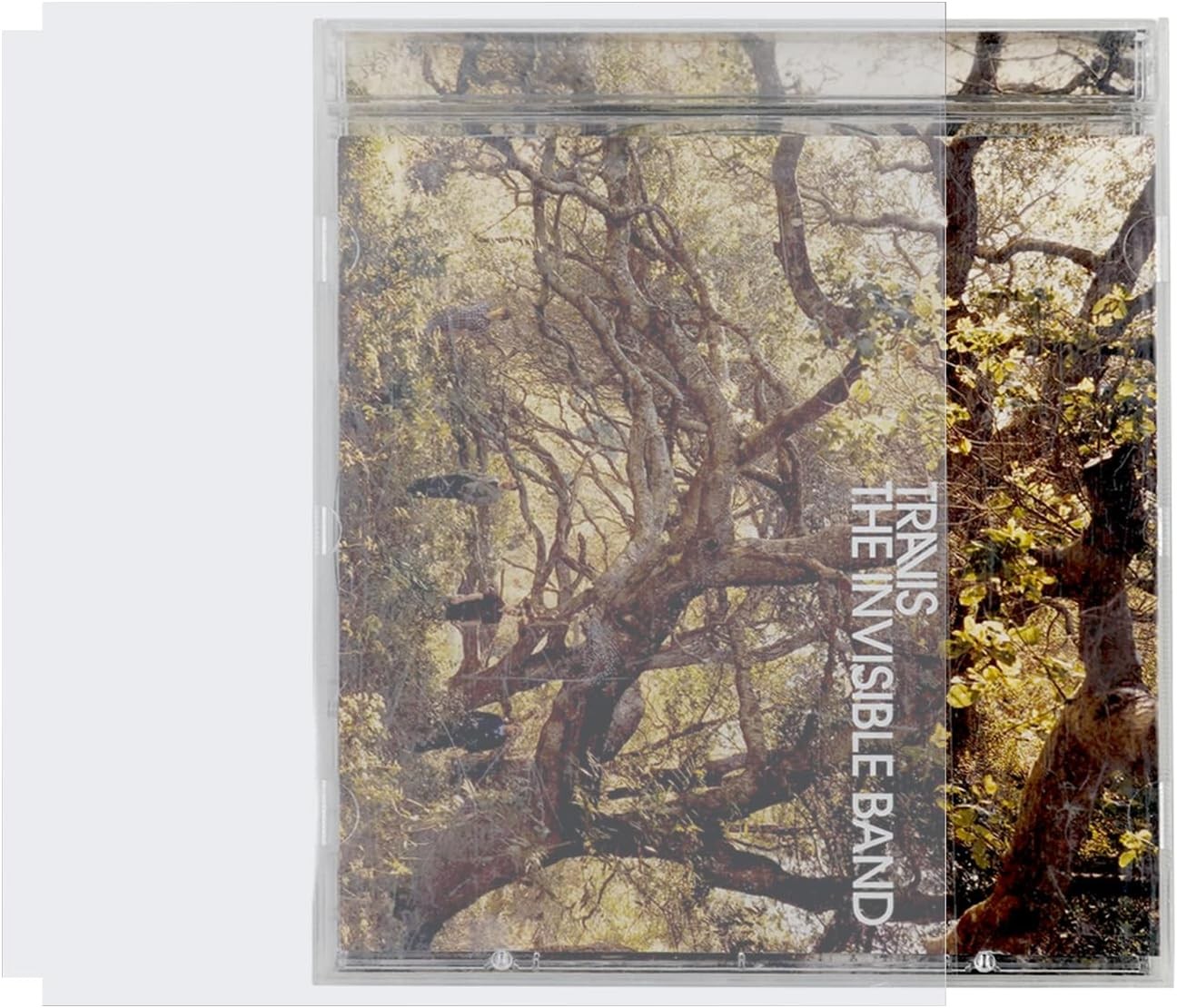 sdroceRyaM 50PCS CD Outer Sleeves Clear Plastic Protective Sleeve... 