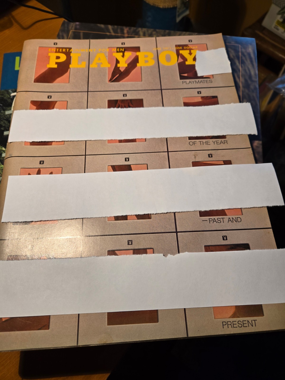 Playboy June 1971 Playmates of the Year Past and Present