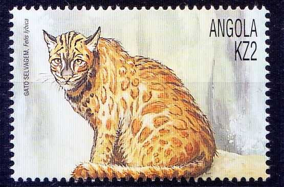 Angola 2000 MNH, felis lybica African wildcat Wild Animals 