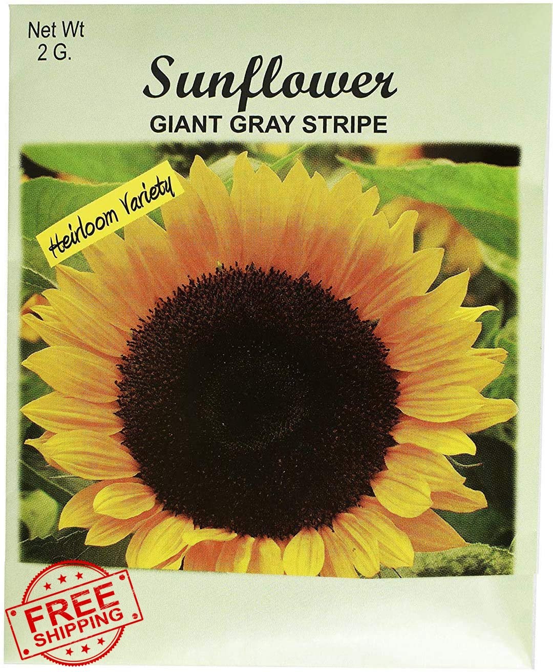 50 Flower Seed Packets Bulk Sunflower Giant Gray Stripe Seeds