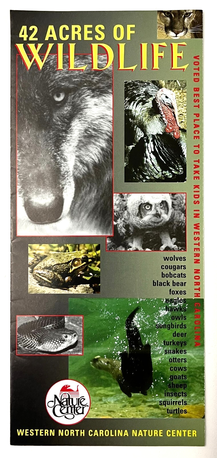 1990s Asheville NC Western North Carolina Nature Center Vintage Travel Brochure