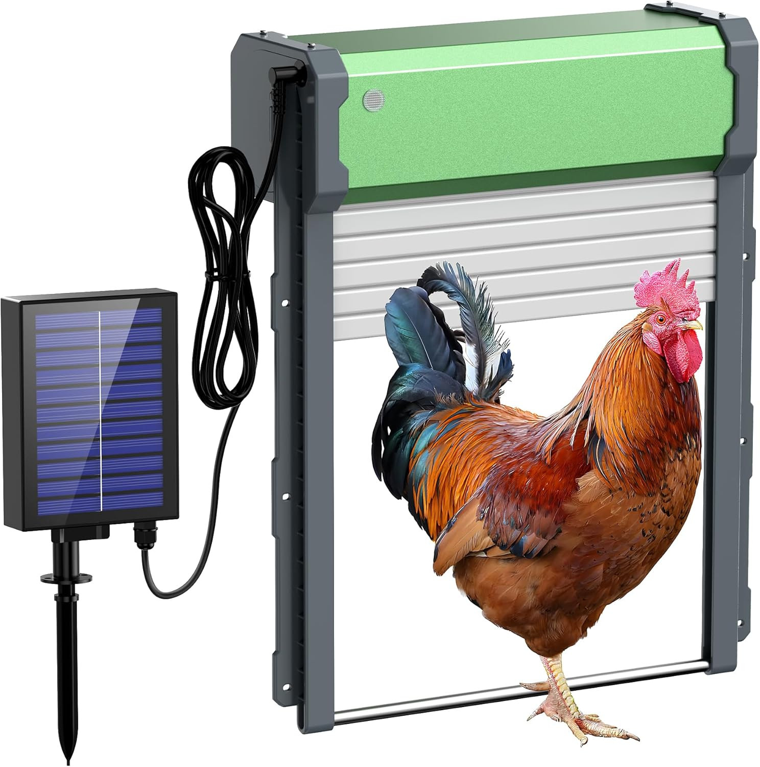 Automatic Chicken Coop Door Solar: Automatic Chicken Door - Solar Powered Chicke