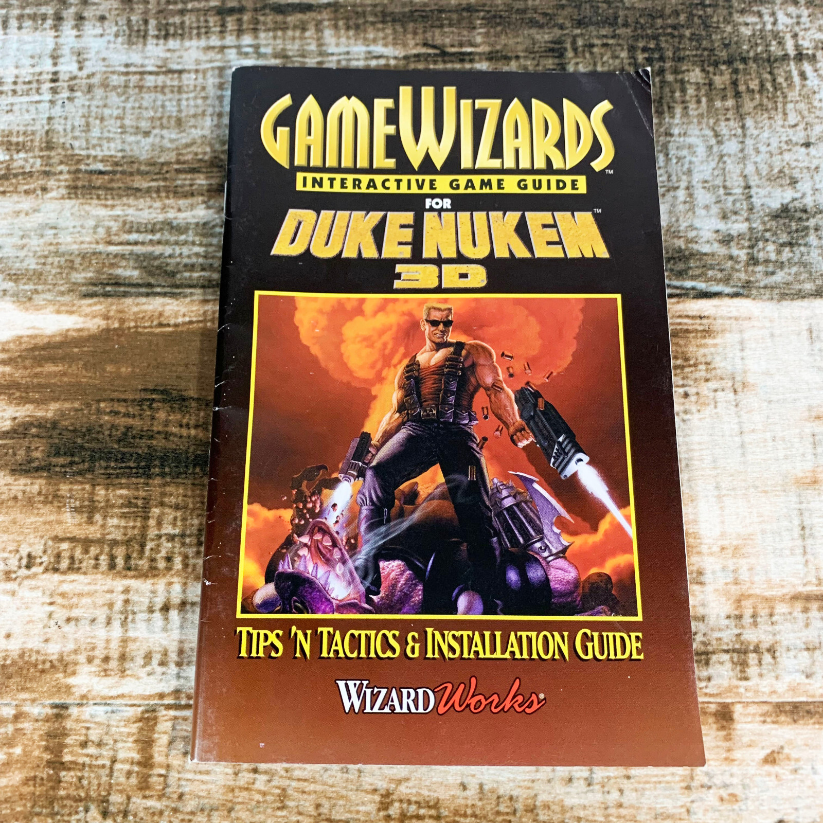 Duke Nukem 3D (PC Big Box) GameWizards Tips 'n Tactics & Installation Guide ONLY