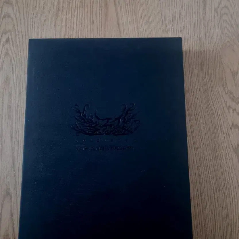 SonAple Curiosity Archiving Book (Photo Book Only)