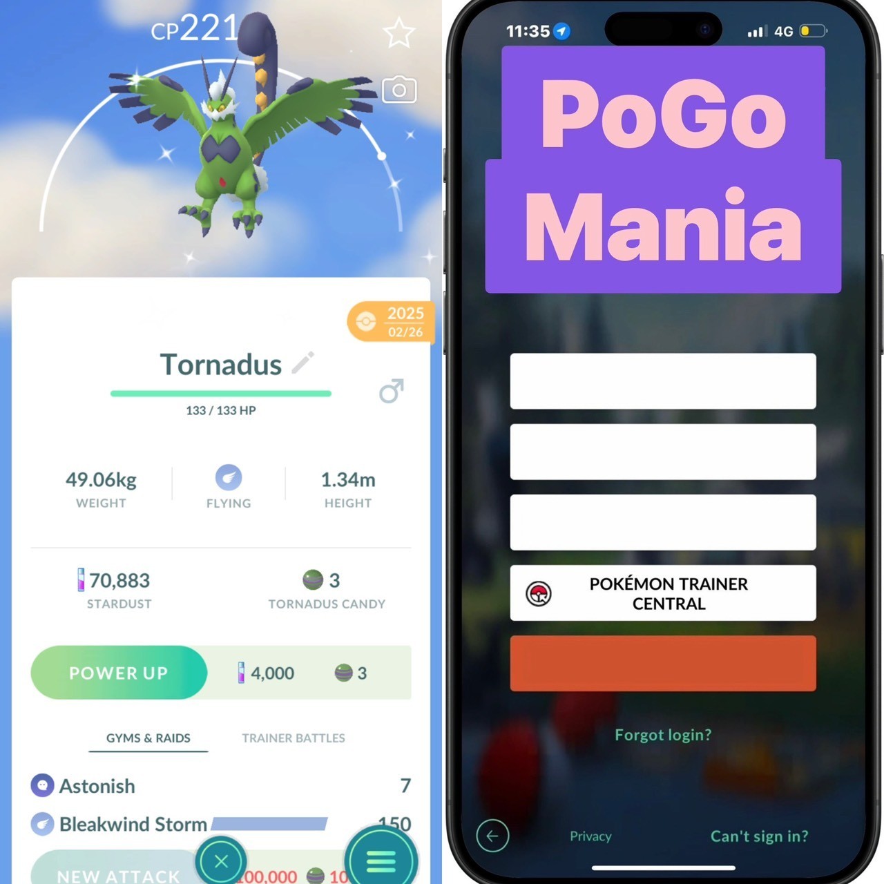 Shiny Tornadus (Therian Forme)✨mini PTC 20k✨Bleakwind Storm✨Legacy Moveset✨