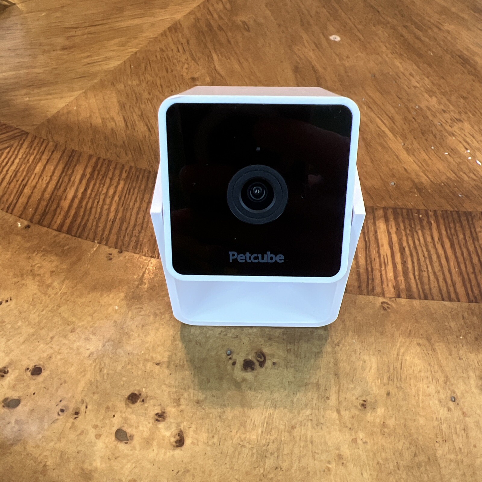 Petcube Cam Pet Monitoring Camera with Built-in Surveillance