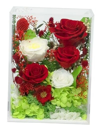  Long-Lasting Real Flowers, Handcrafted Preserved Red White Roses Arrangement