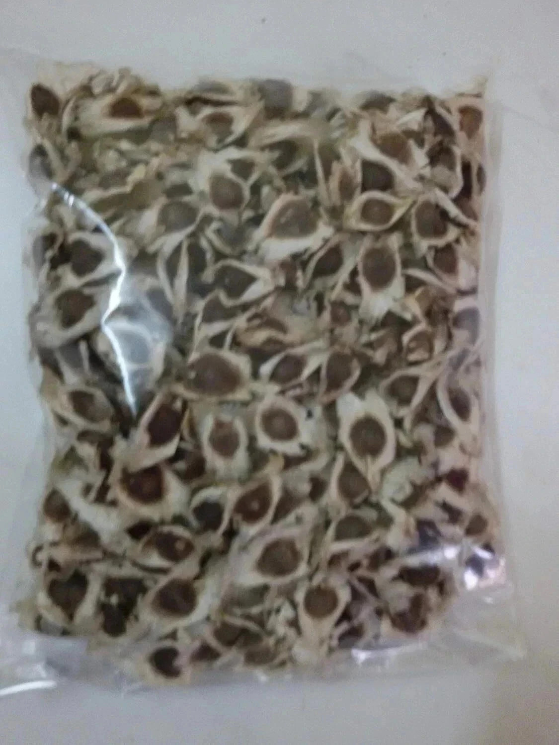 1000 Organic Moringa Seebs | Moringa Oleifera | Dried, Non GMO, Edible,Planting