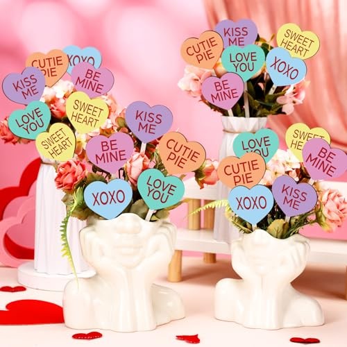  24 Pcs Valentine's Day Decorative Picks Double Sided Wooden Heart Picks Cute