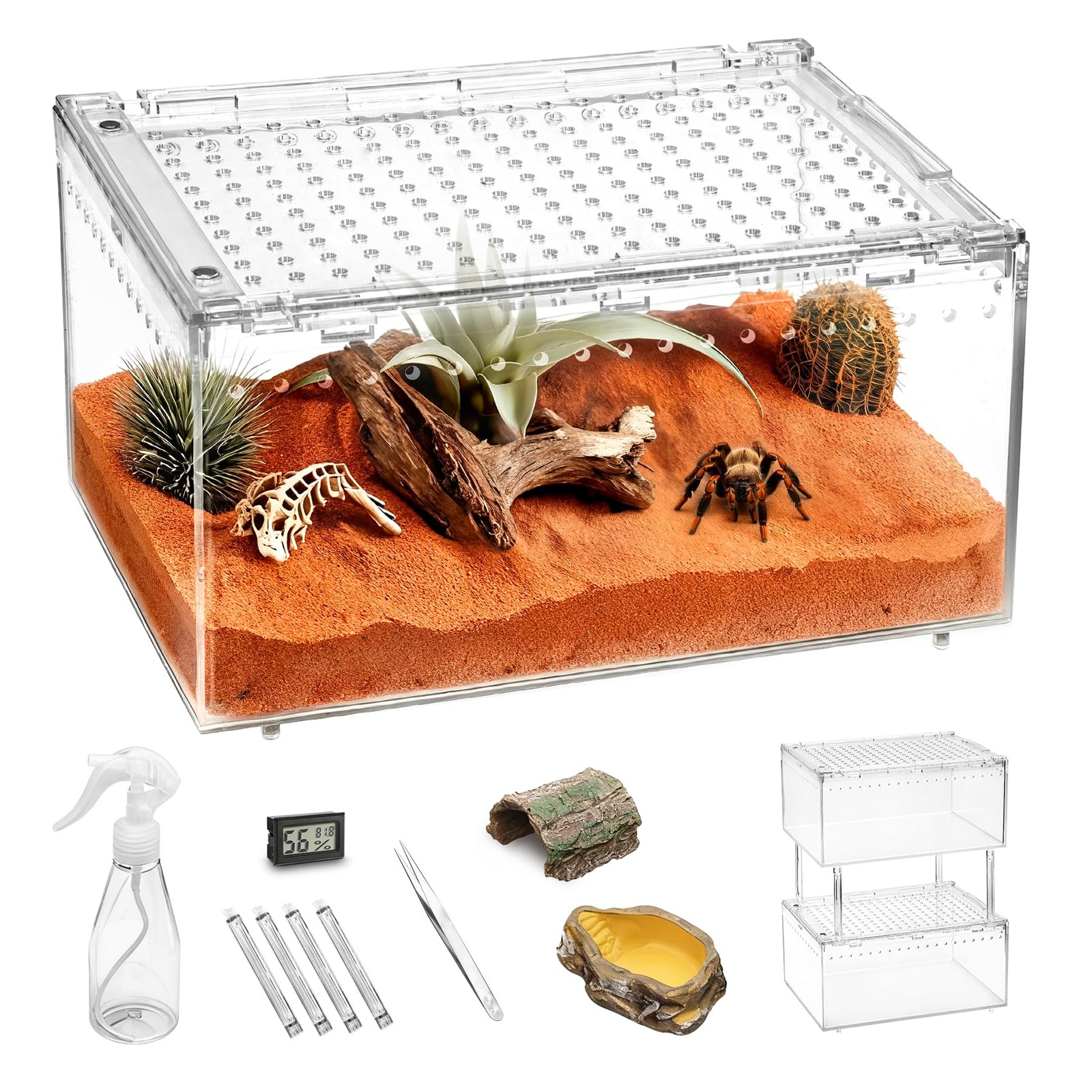 Small Reptile Terrarium Kit,Escape Proof Tarantula Enclosure,PC Starter Hermi...