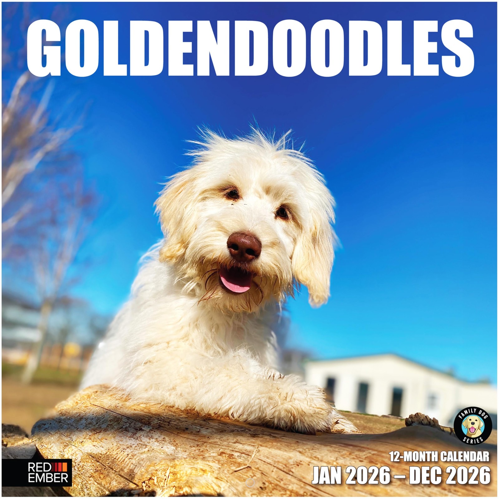 RED EMBER Goldendoodles 2026 Wall Calendar 12 New 2026, 12 - 