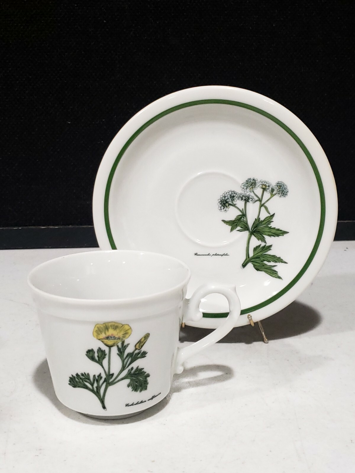 WINTERLING Germany BOTANICAL GARDENS Buttercup/ Poppy CUP & SAUCER Set