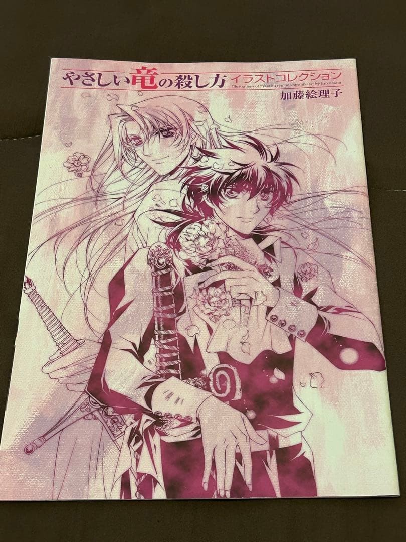 How to Kill a Gentle Dragon Illustration Collection - Beans ACE Vol.13 Rare Book