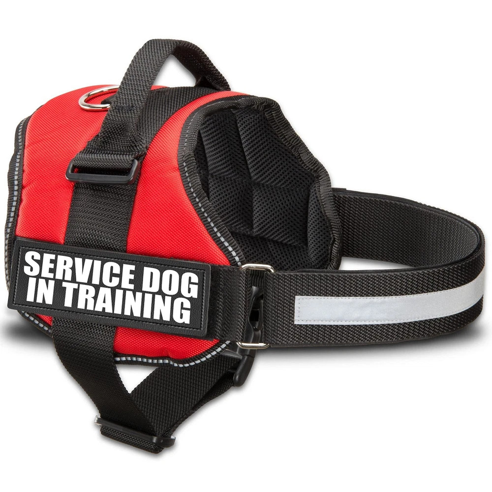 Reflective Bright Red Service Dog Harness Fits Girth 19.5 to 25 Inch