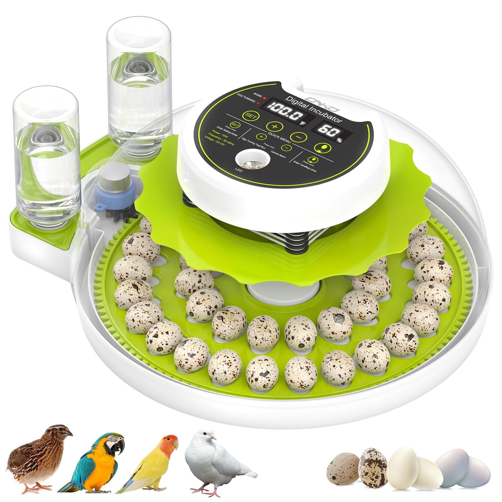 Quail Egg Incubator for Hatching 40 Quail Eggs with Automatic Turner and Humi...