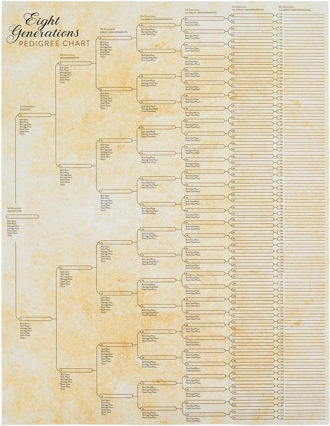 Family Tree Charts to Fill in - 8 Generation Genealogy Charts with 255 Name Spac