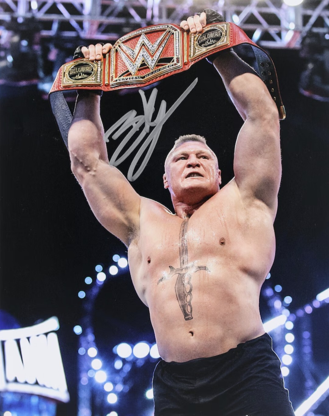 Brock Lesnar WWE Champion Signed 8X10 RP Reprint Photo 