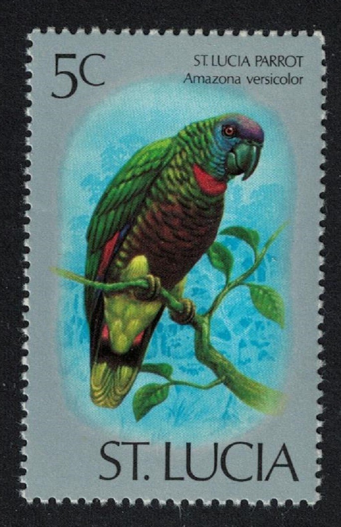 St. Lucia Amazon St Lucia Parrot Bird 5c 1976 MNH SG#418