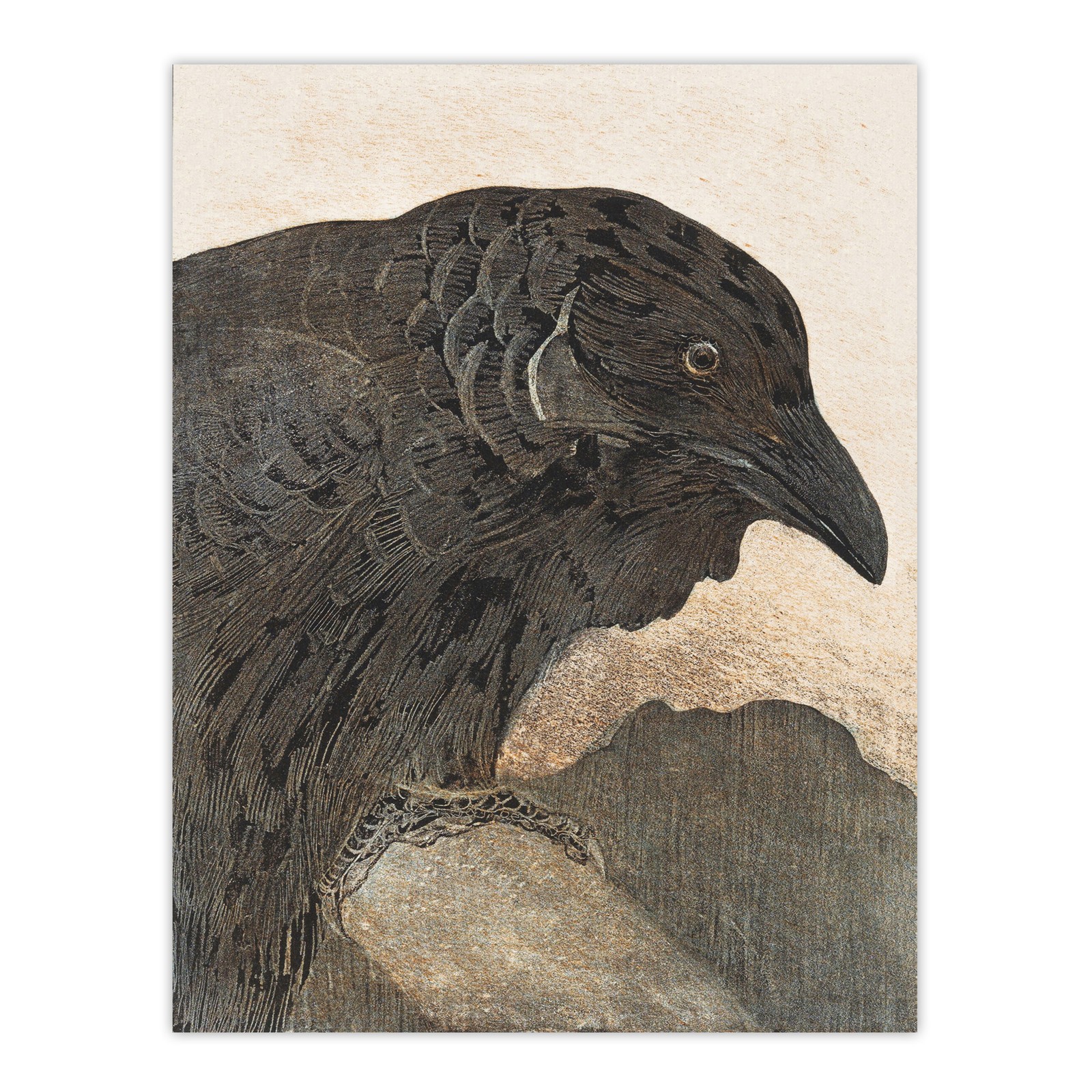 Old Crow Bird Painting Vintage Framed Wall Art Print van Hoytema