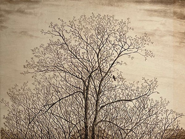 Hiroto Norikane "Autumn Sky 94" Copperplate Print Ed.100 Authentic From Japan