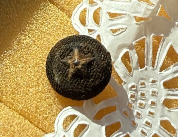 1800's Unique STAR Button w/ Cut Steel Center "Civil War" or "Texas" BUTTON