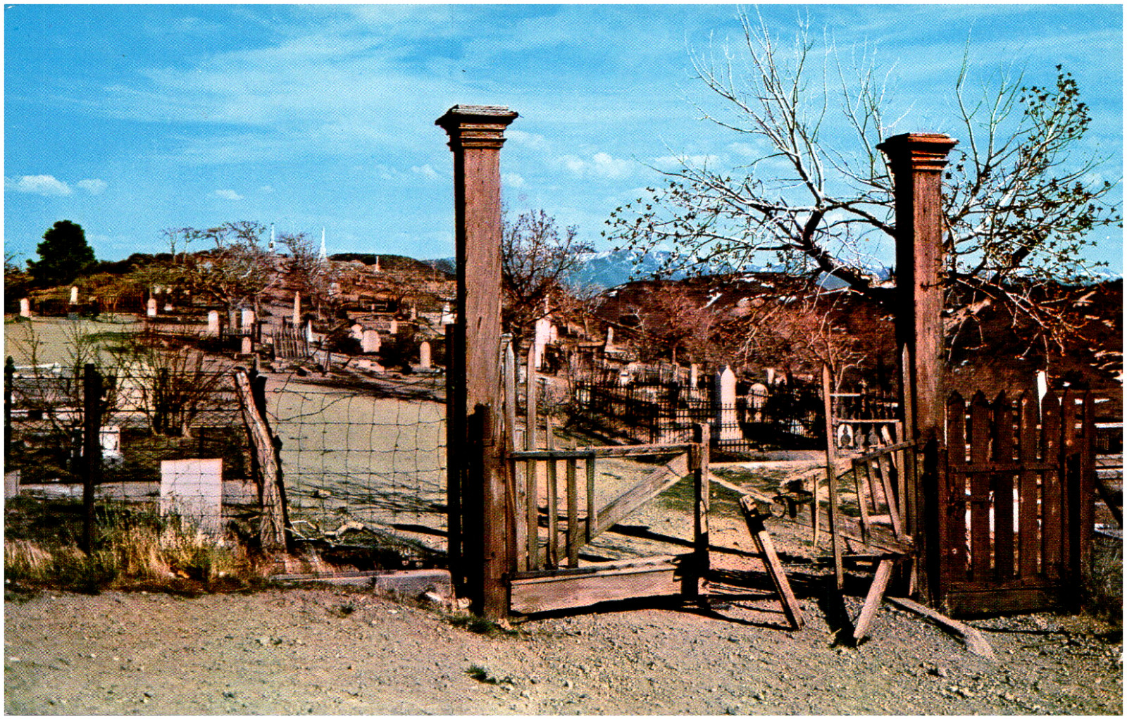 Silver Terrace Cemetery Virginia City Nevada 1960s Chrome Postcard Unused