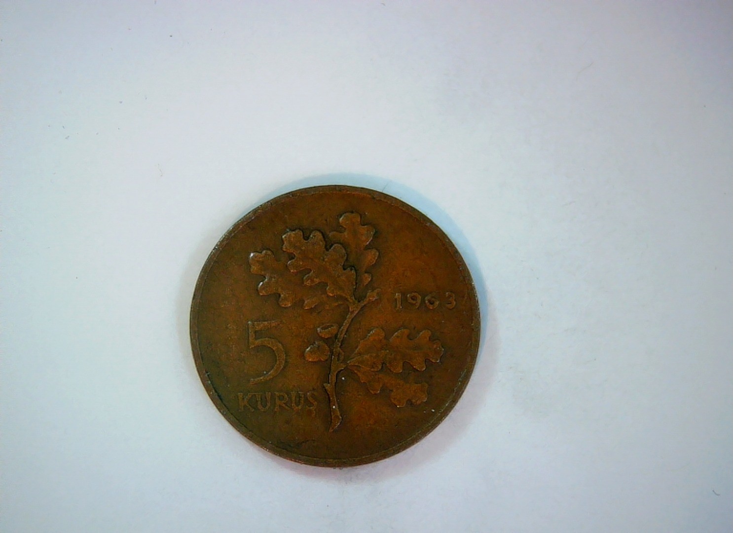 Turkey 1963 5 Kurus Republic of Turkey 5 Kurus (oak sprig / crescent and star) C