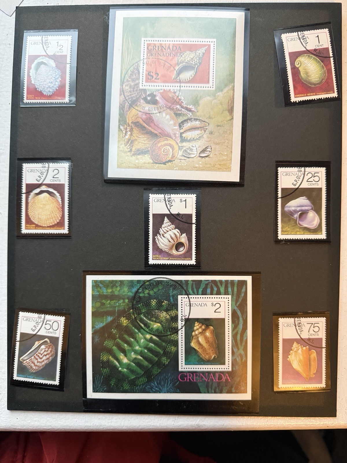 1970s Grenada Seashell Stamp Collection | Cancelled with protective sheets