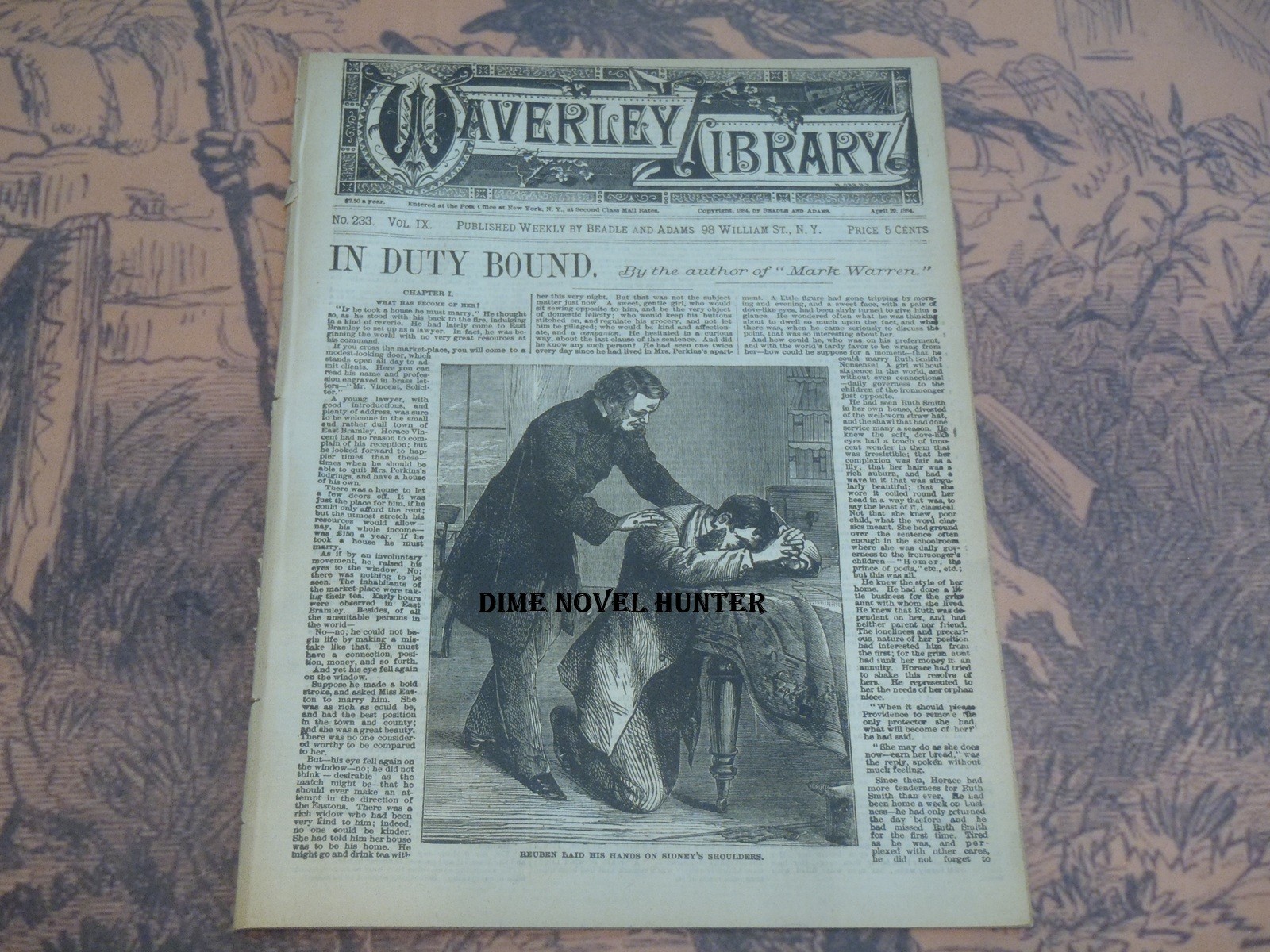 ISA CRAIG MARK WARREN BEADLE ADAMS WAVERLEY LIBRARY #233 SCARCE FINE DIME NOVEL
