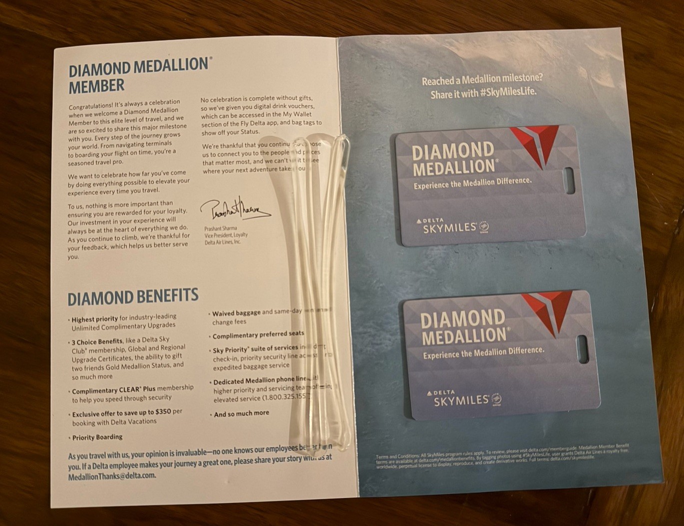 NEW 2025 Delta Diamond Medallion Frequent Flyer Metal Bag Tags (2)