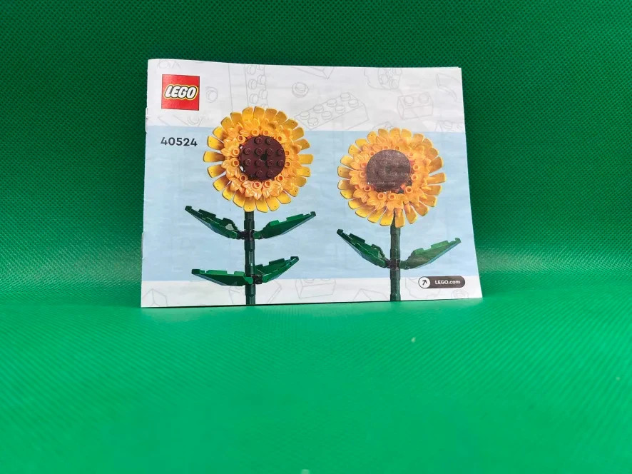 LEGO 40747 + 40524 Sets Books Only