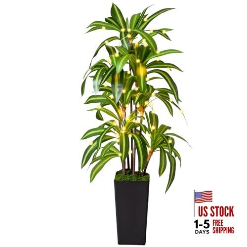 Artificial Dracaena Tree with Lights Fake Plants with Black Tall Planter - 5Ft