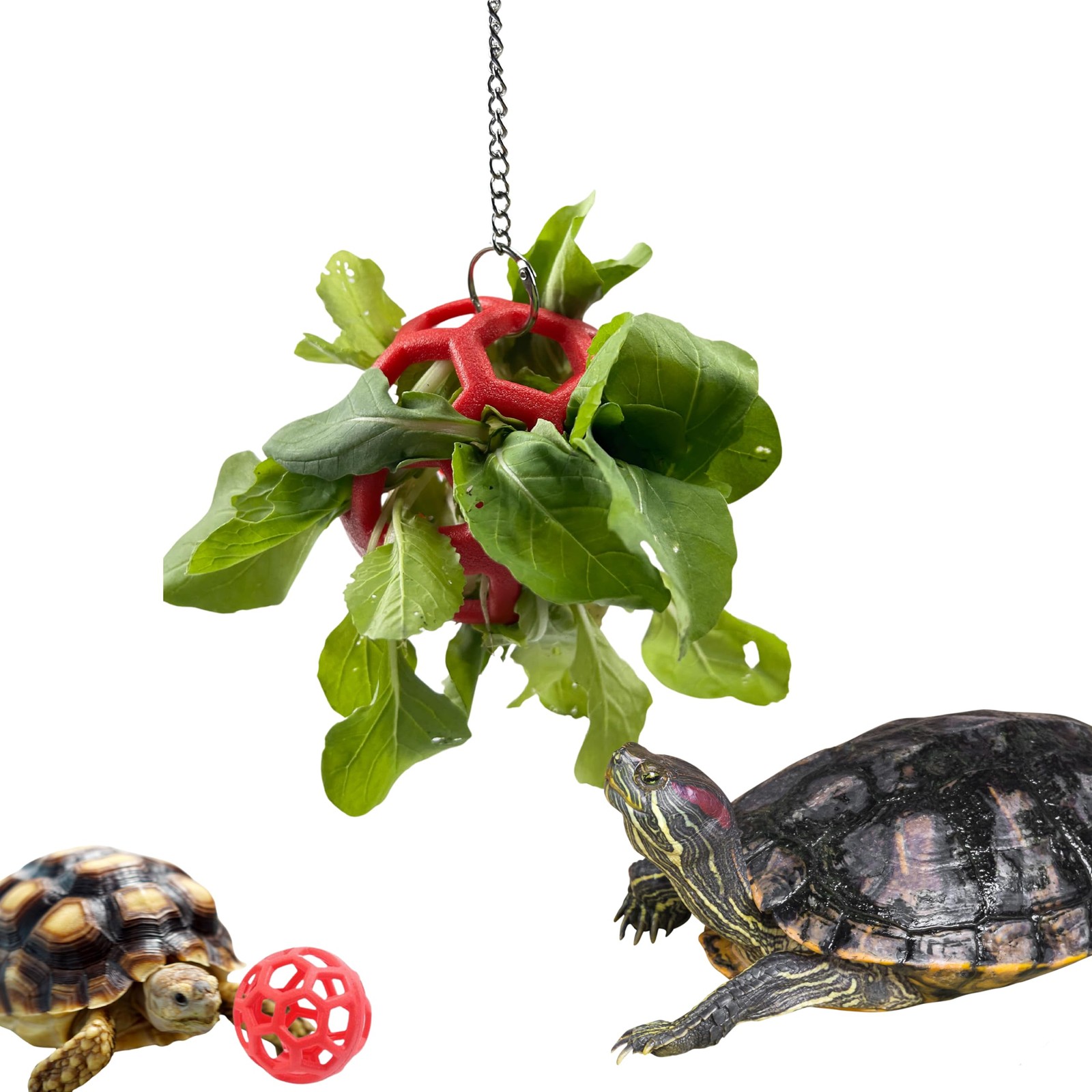 Turtle Feeder Ball with Chain, Hanging Tortoise Treat Ball, Small, Red 