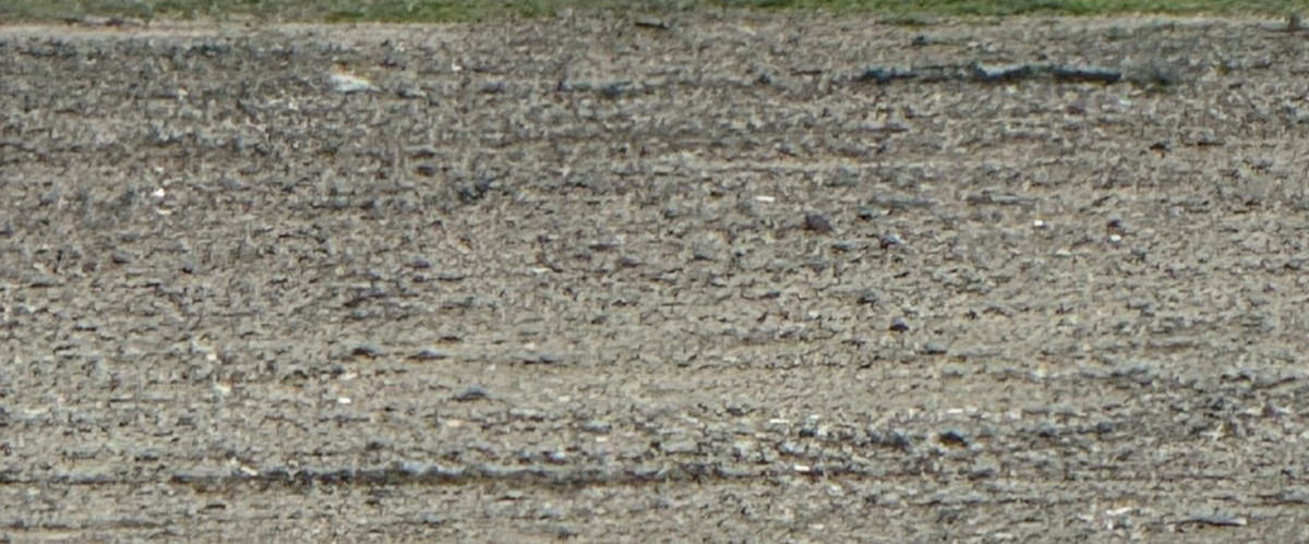 10 Acres In Navajo County Arizona AZ