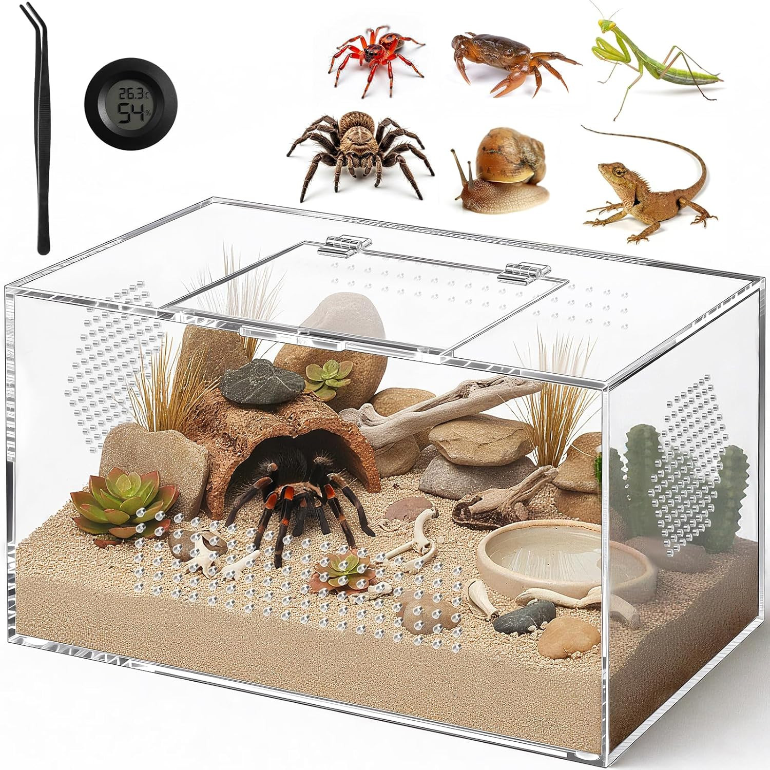 Pre-Assembled 12"x7"x7" Acrylic Reptile & Spider Terrarium with Magnetic Door