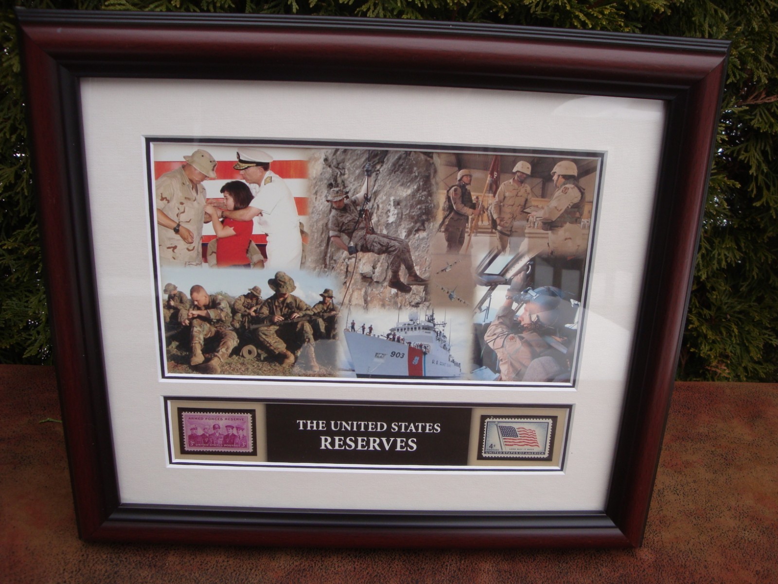 USPS Commemorative The United States Reserves Framed Postage Stamp USPS