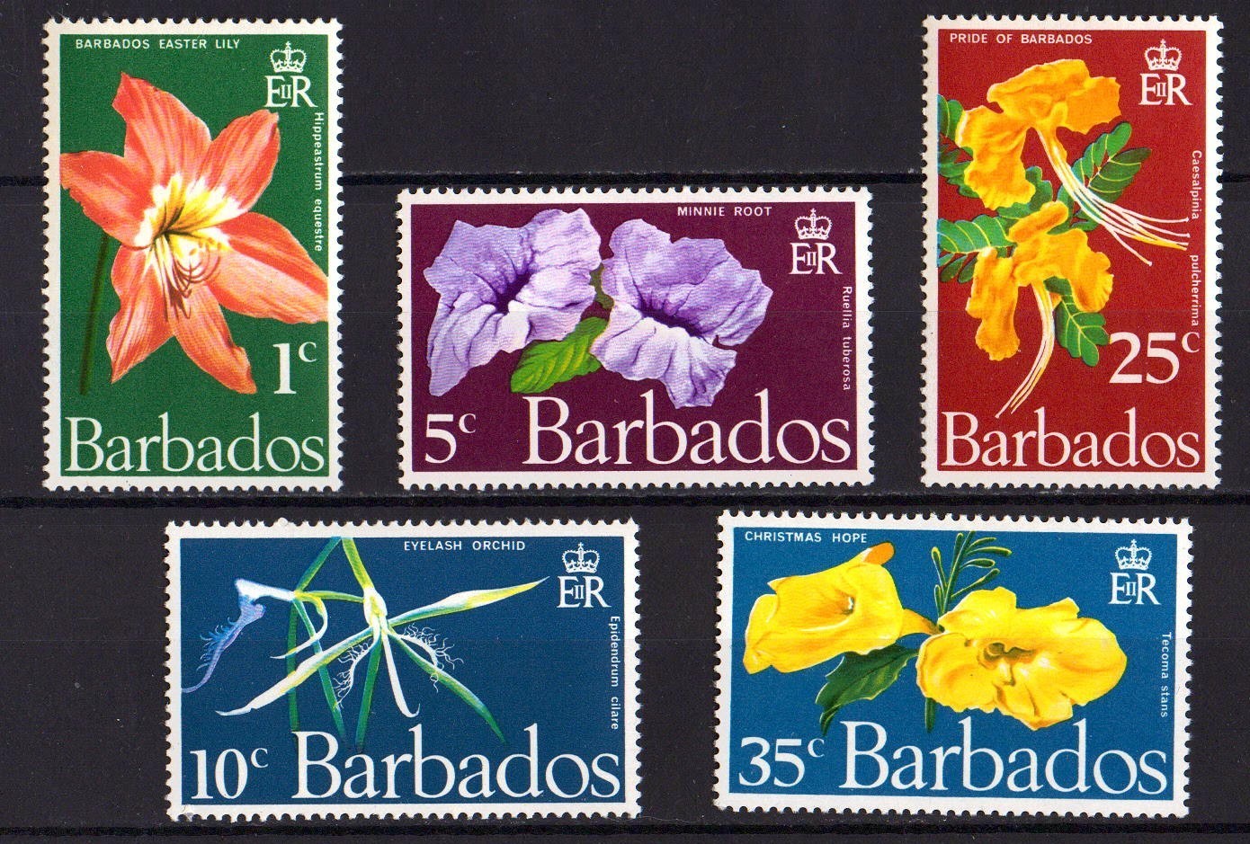 BARBADOS 1970 Flowers from Barbados Michel 317/21 MNH  W2498