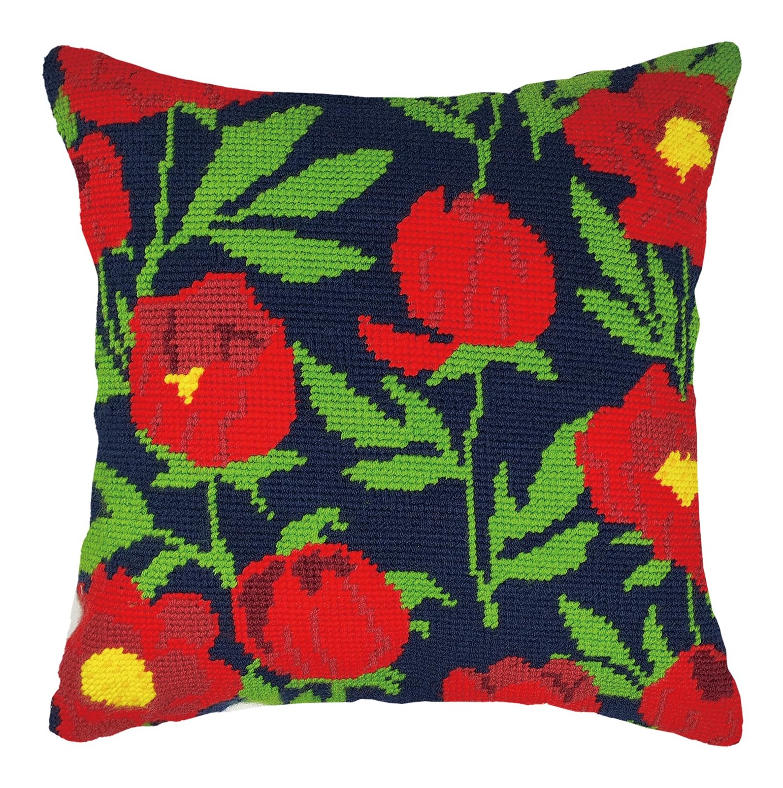 Needlepoint Kits for Adults, Pillow Front Cross Stitch Kit with Embroidery Pa...