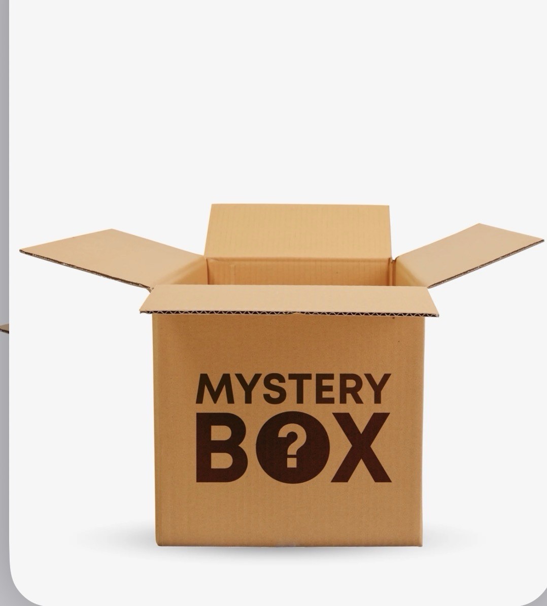 Mystery Surprise Box - Unusual Contents