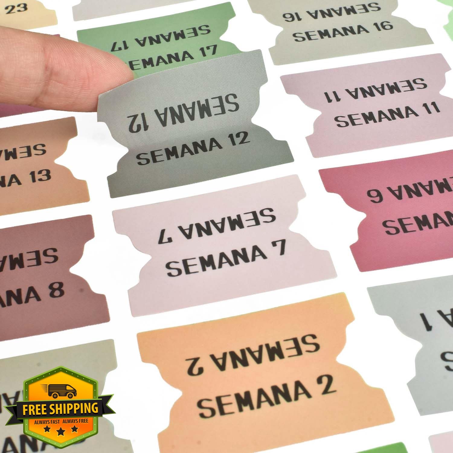 Spanish Bible Tabs 122Pcs Matte Laminated Floral Journaling Tabs