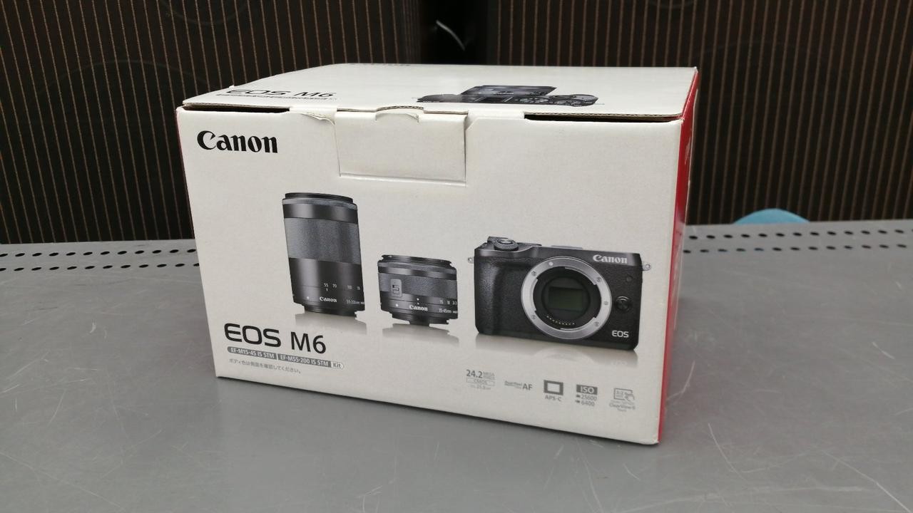 Canon EOS M6 Mirrorless Camera Double Zoom Kit 24MP CMOS Lightweight From Japan