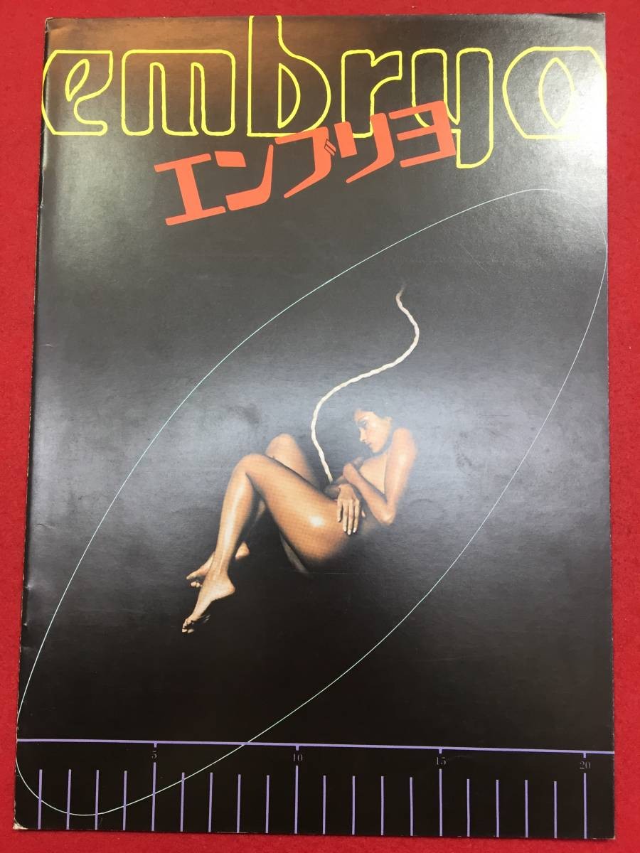 08220 Embrillo A4 size Pamplock Hudson Diane Rudd Barbara Carrera Ann Shedeen