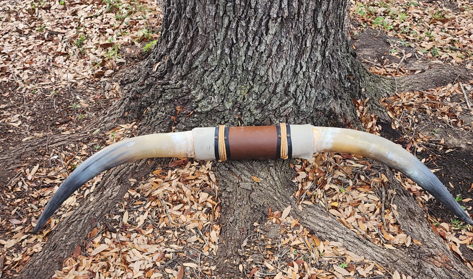 MOUNTED STEER HORNS 4 feet 1/2 Inch LONGHORN POLISHED MOUNT BULL COW