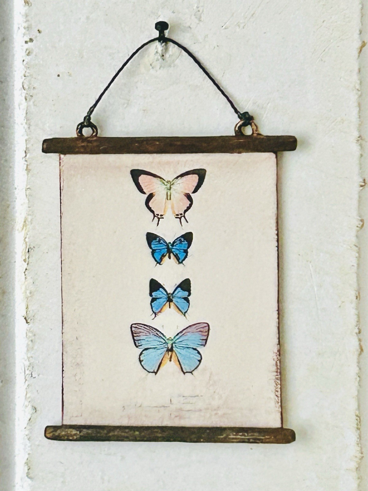 Miniature 1:12 Scale Vintage Butterfly Print / Wood Mounted