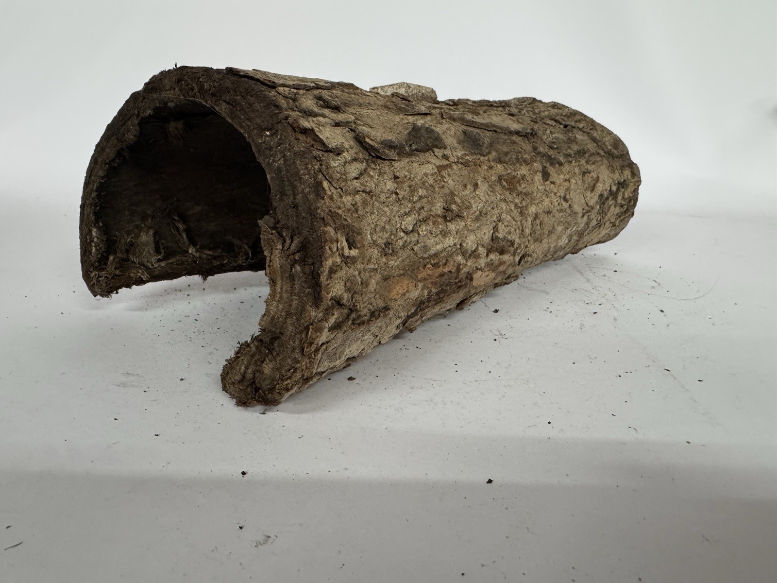 Natural Cork Bark Half Log Reptile Hide Terrarium Gecko Snake Habitat 10-11in #2